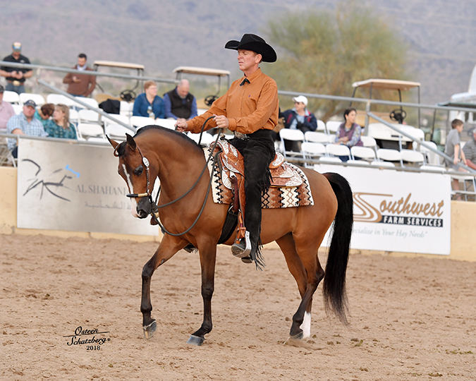 Culbreth Equine